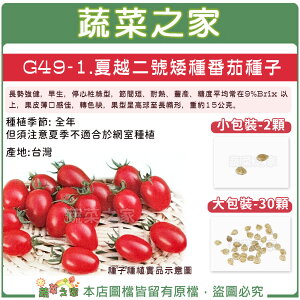 【蔬菜之家】G49-1.夏越二號矮種番茄種子 (共2種包裝可選)