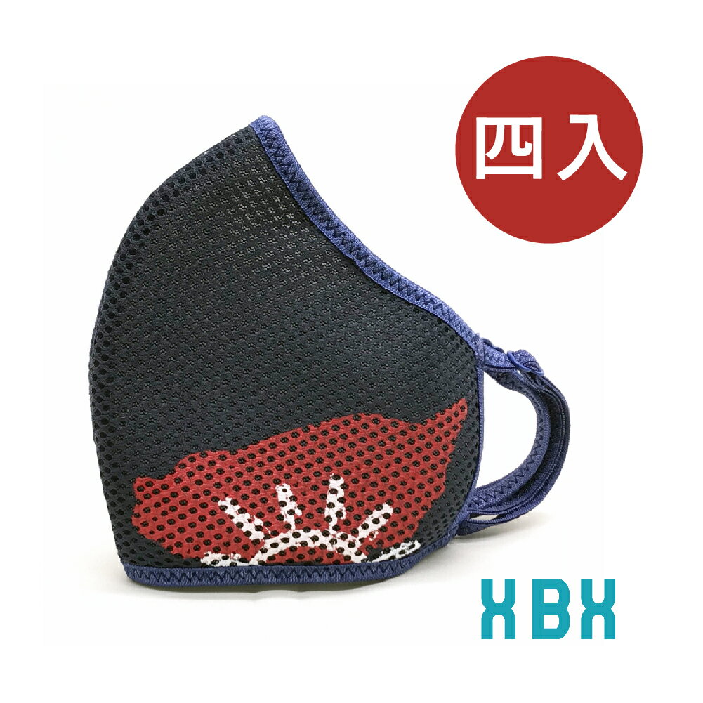 3D好呼吸口罩 抗菌透氣 可調式口罩 棉質口罩 國家圖案 可水洗 客製化設計 台灣製造