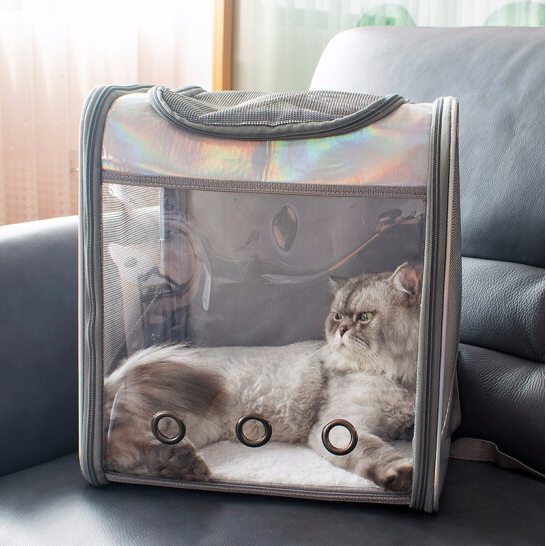 貓包外出貓背包寵物背包大號可折疊貓咪便攜雙肩方塊背包鐳射透明窗外出提籠【聚物優品】