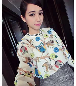 秋冬新款女裝 2014秋裝새로운提花面料可愛貓頭鷹寬鬆T桖인쇄印畫套頭(白色)