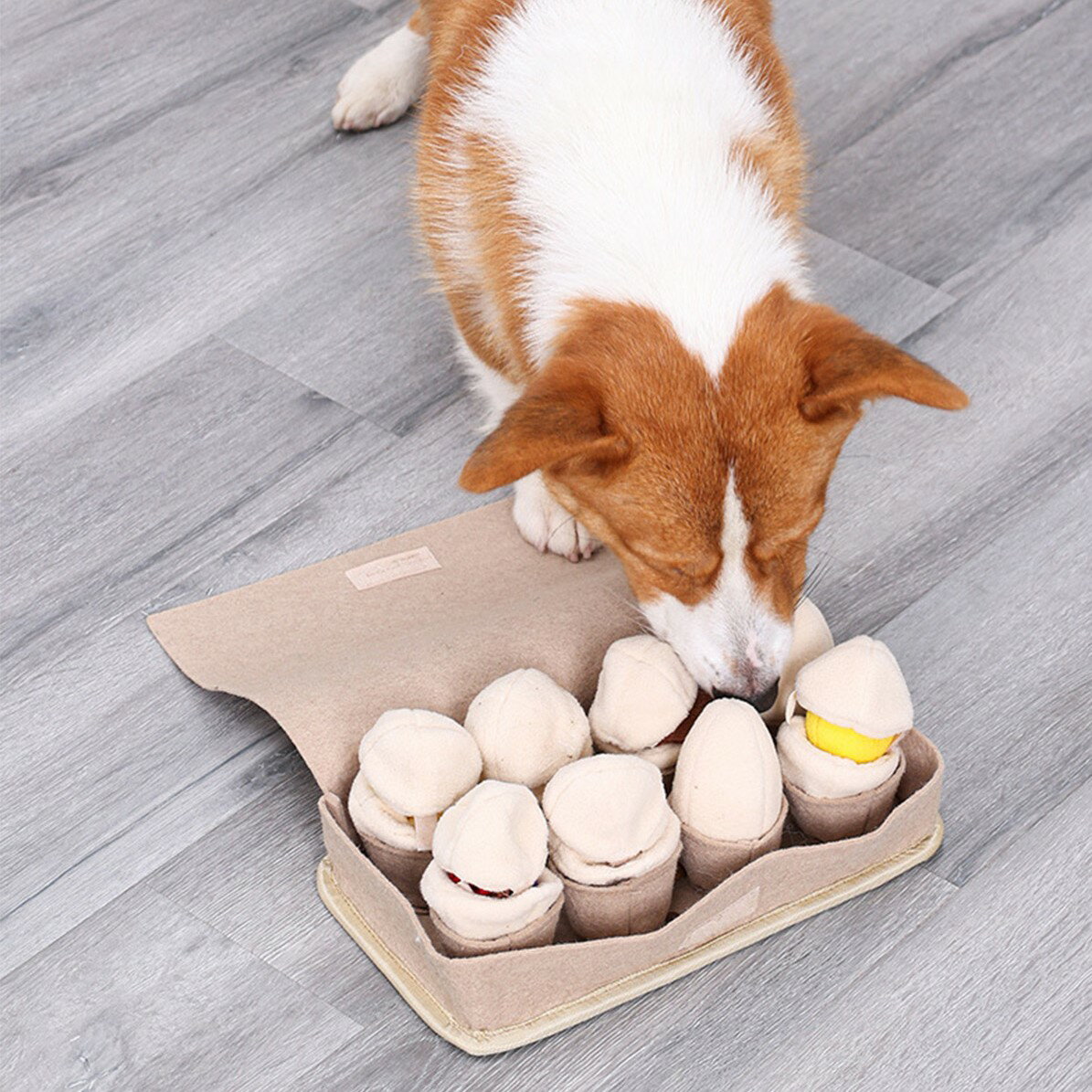 DogLemi多樂米 雞蛋盒嗅聞玩具 漏食玩具 狗狗玩具 狗玩具 寵物玩具 益智玩具 嗅聞玩具 藏食玩具 4