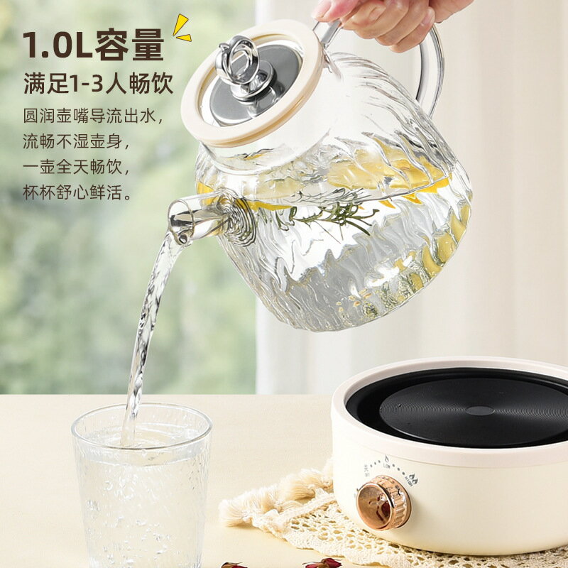 出口110V伏全玻璃養生壺1L多功能花茶煮茶壺燒水壺美國日本小家電