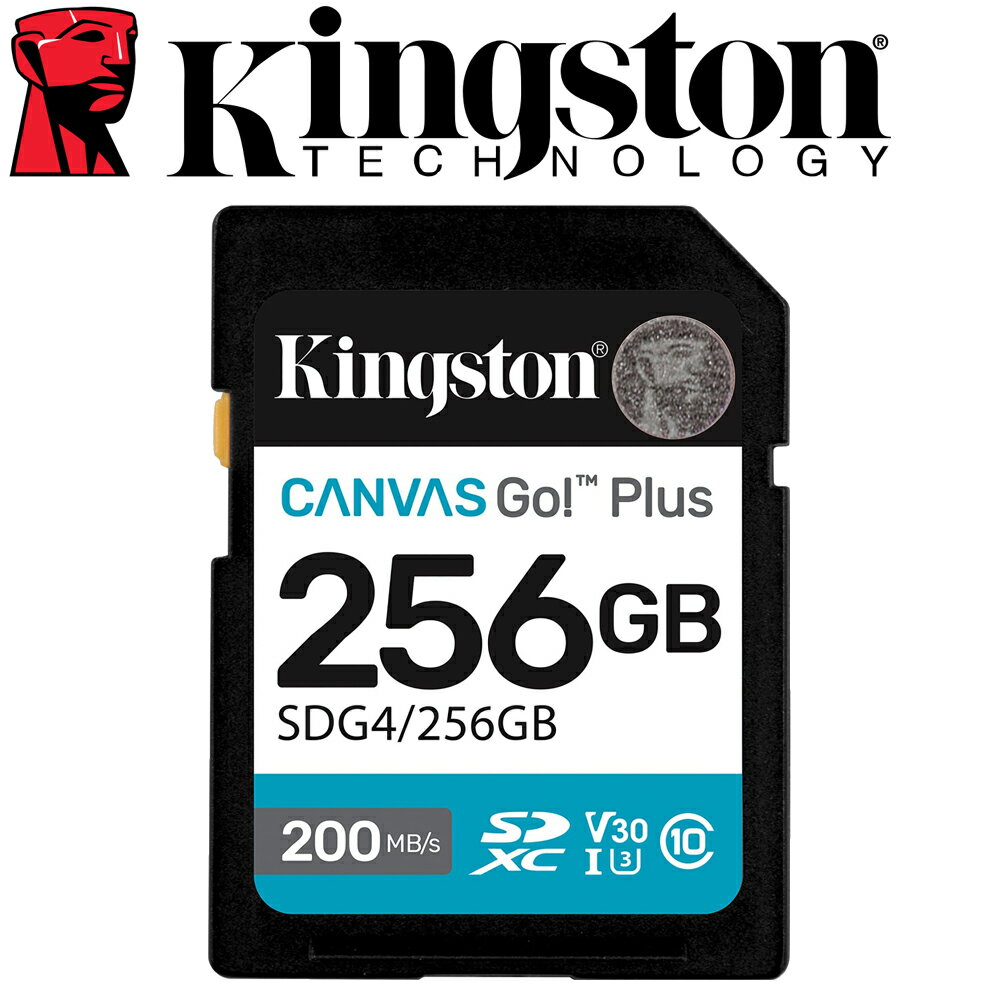 Kingston 金士頓 256GB SDXC SD U3 V30 記憶卡 SDG4