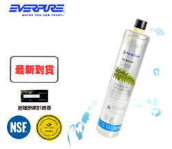 【福利品】EVERPURE 美國原裝進口濾心 S-100 全新包裝