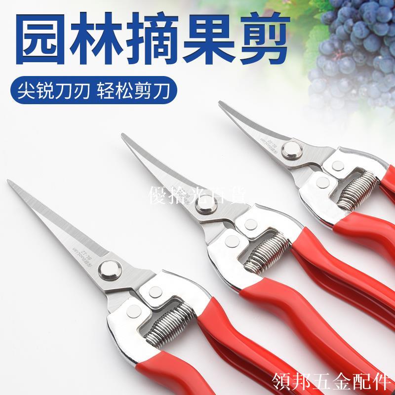 採摘神器剪枝剪刀摘果神器多功能園藝採果花藝剪修枝剪樹枝剪刀[領邦五金配件]