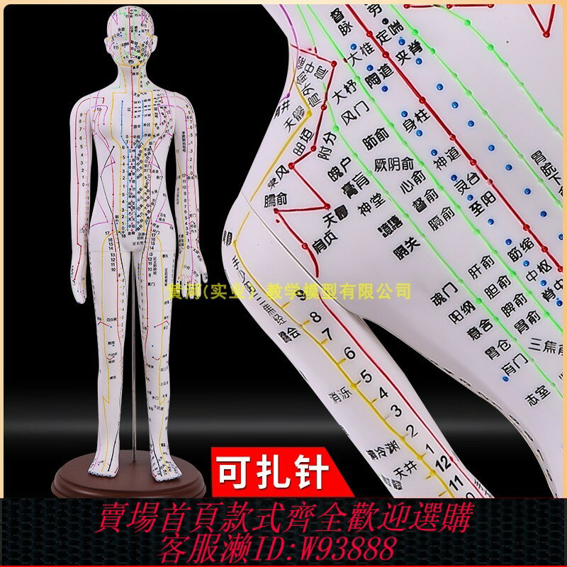 {臺灣公司貨 可打統編}彩色針灸穴位人體模型全身家用中醫十二經絡圖小皮人矽膠扎針練習