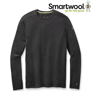 Smartwool All-Season NTS150 男款 圓領長袖排汗衣/美麗諾羊毛內著 SW000749 D36 鋼鐵霧灰