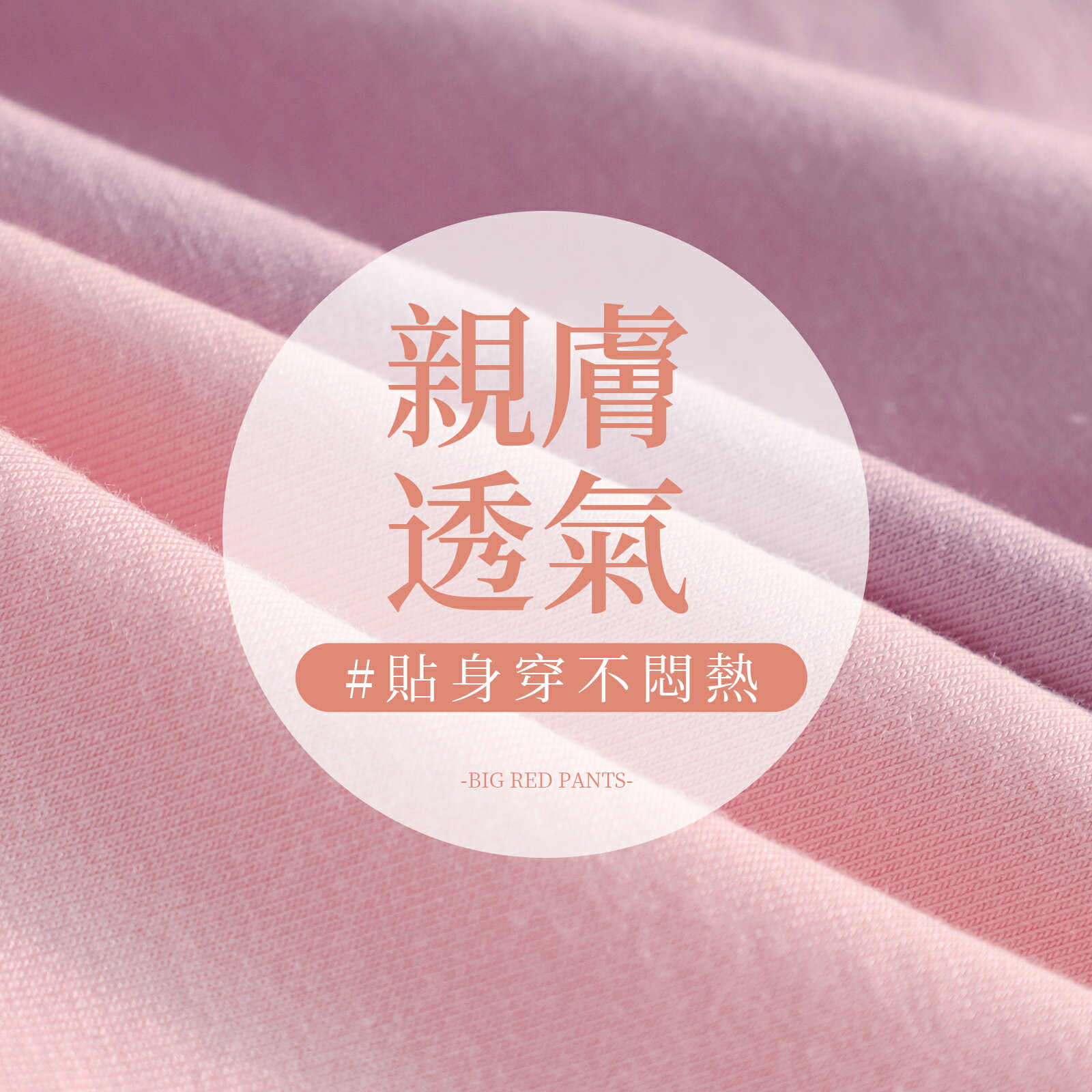 3A抗菌馬卡龍褲底色系素面水果內褲 F碼 943 3