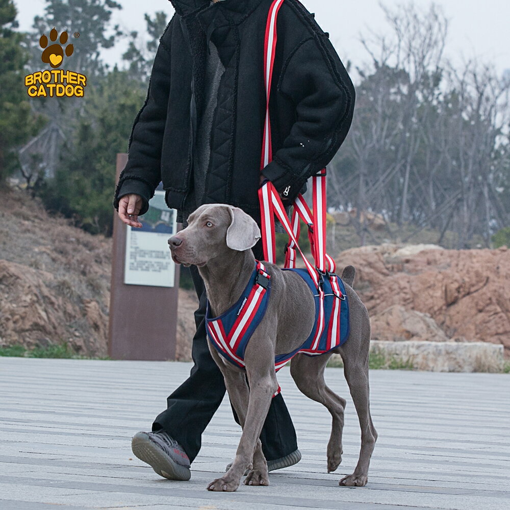 寵物輔助帶 行走輔助 老年狗高齡犬胸背帶助力帶殘疾導盲犬寵物大中小型后腿康復輔助帶