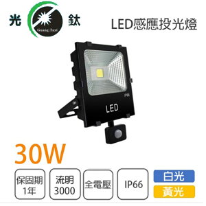 感應式 LED 30W 投光燈 探照燈 投射燈 全電壓 白光/黃光 永光照明EW3-LED-30W-6K-EU-1