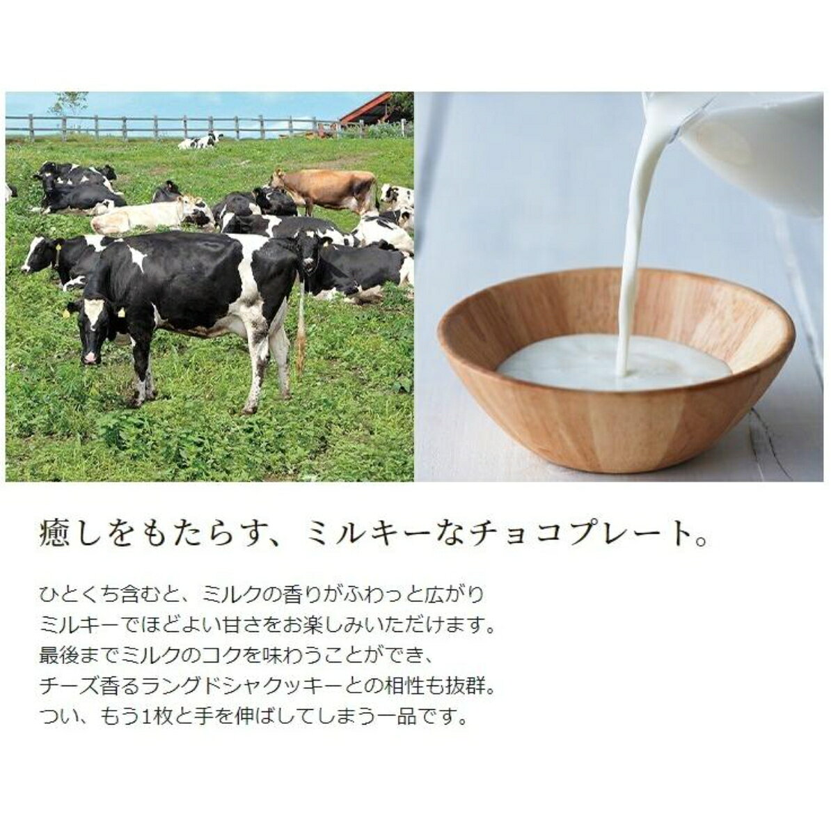 【預購】LeTAO 起司夾心 紅茶巧克力夾心餅乾 小樽洋菓子 貓舌餅乾 牛奶餅乾 北海道限定 6