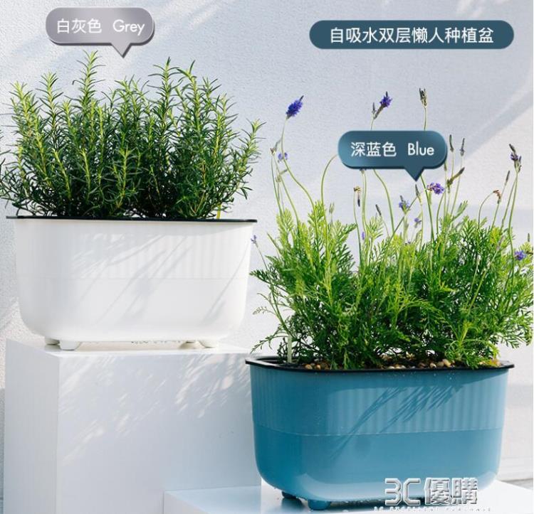 陽臺種菜盆神器懶人自動吸水花盆長方形花槽家庭種植箱塑膠種菜箱 99購物節