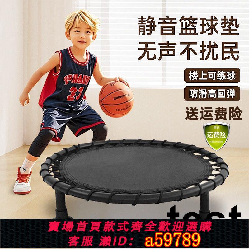 【臺灣公司 可打統編】籃球靜音墊籃球靜音反彈網室內無聲彈力網隔音墊家用訓練輔助器材