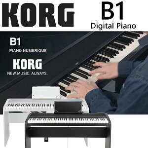 【非凡樂器】KORG B1ST Digital Piano 電鋼琴 白色 (含琴架) 公司貨