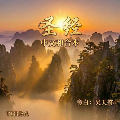 【有聲書】圣经 0