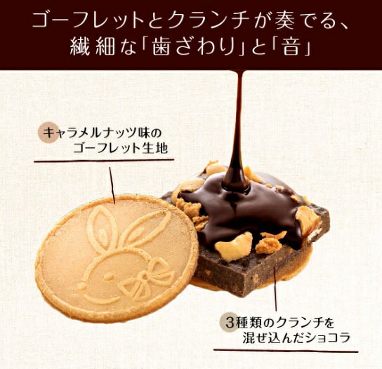 鎌倉五郎本店 鎌倉月兔巧克力夾心餅 10個裝 菓子 點心 洋菓子 燒菓子 禮品 禮物 白色情人節 日本必買 | 日本樂天熱銷 1