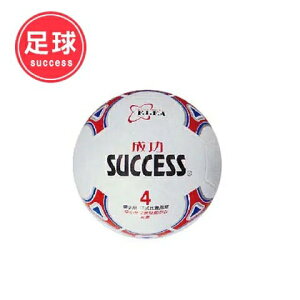 4117 - 成功 彩色少年足球(國小專用) S1240