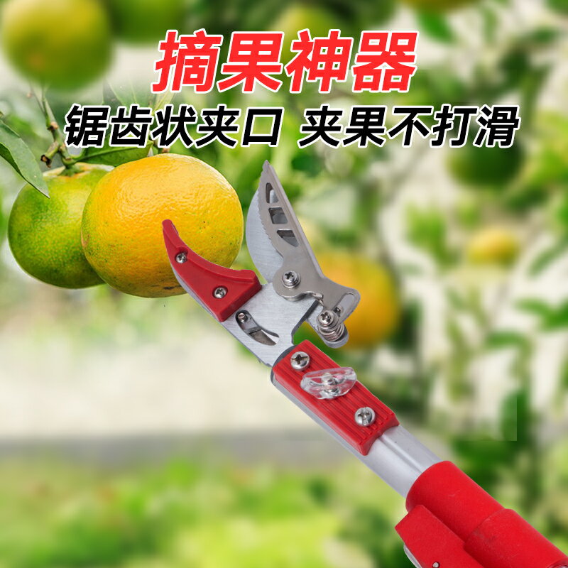 高空採果剪刀摘果器伸縮高枝剪刀鋸高空摘果修枝剪刀果樹摘果剪刀