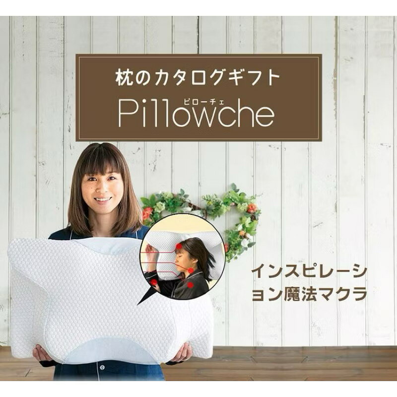 【PowerRider 】日本 GOKUMIN Pillowche 極眠護頸記憶枕