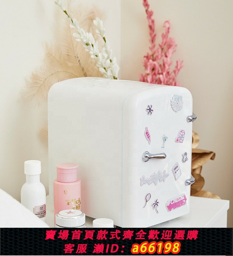 【臺灣公司 可開發票】迷你車載冰箱4L小冰箱容化妝品家車冷藏箱半導體製冷跨境出口