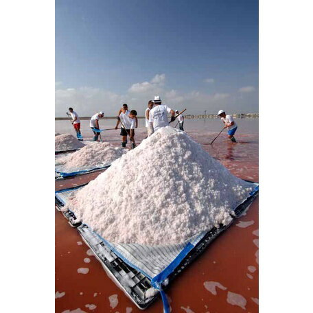 《AJ歐美食鋪》法國 卡瑪格 鹽之花 1KG 鹽之花 天然海鹽 Camargue Fleur de Sel 海鹽 1