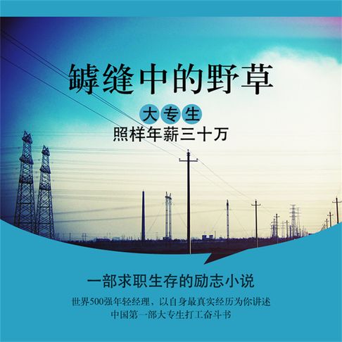 【有聲書】罅缝中的野草：大专生，照样年薪三十万 0