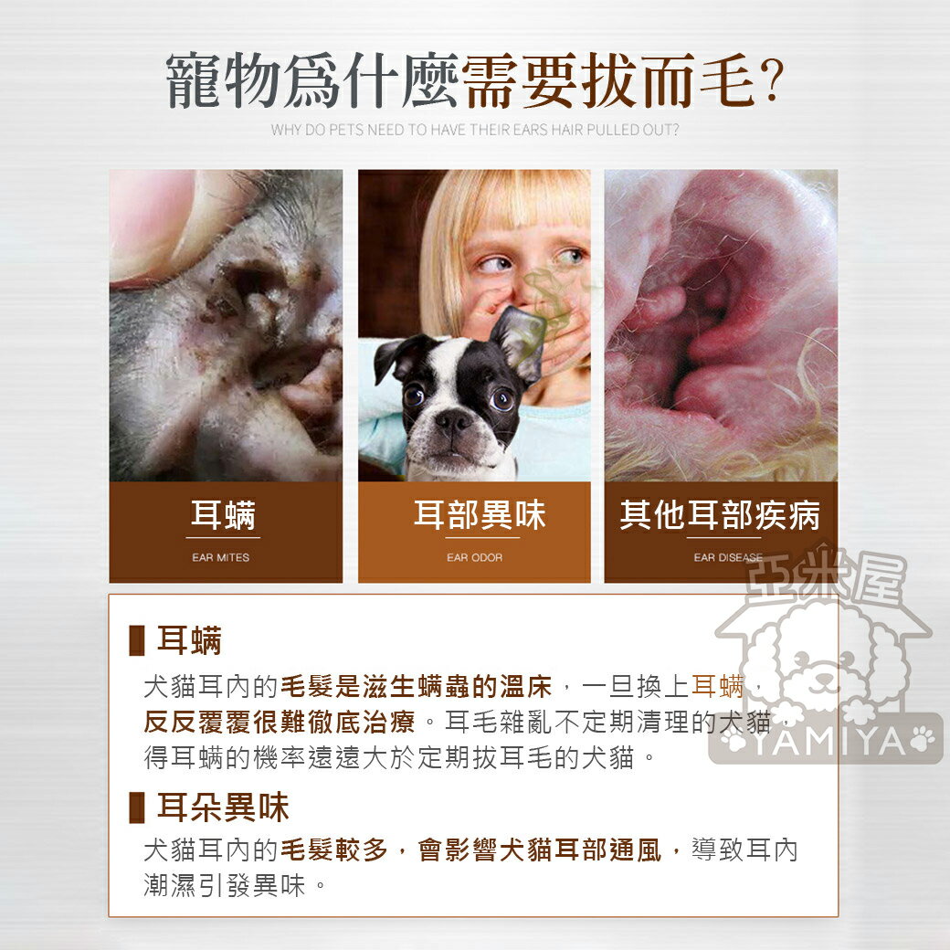 不銹鋼拔毛止血鉗 寵物拔毛鉗14cm彎頭直頭不銹鋼材質拔耳毛鉗狗狗止血鉗清潔耳朵寵物用品《亞米屋Yamiya》 8