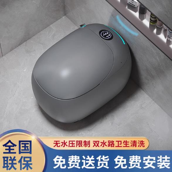 {臺灣公司貨 可打統編}黑色槍灰色智慧馬桶方舟號虹吸全自動一體機110V美規歐規英規插頭