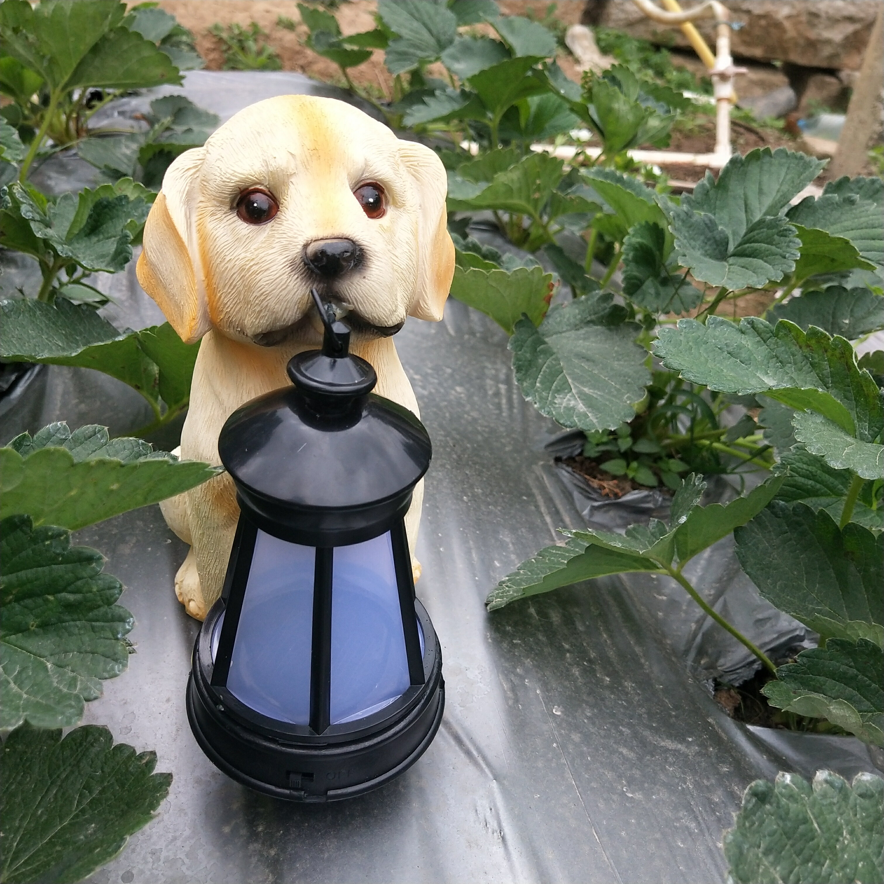 庭院裝飾戶外花園景觀別墅太陽能燈卡通工藝品動物樹脂小狗狗擺件