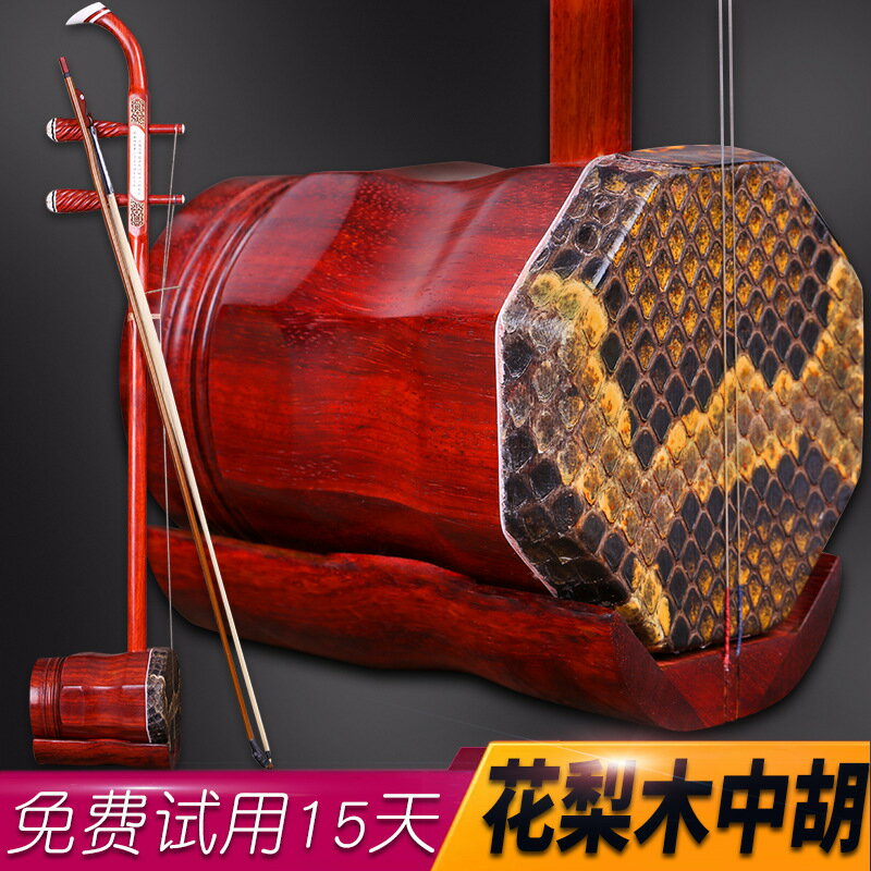 花梨木中胡樂器 中音二胡 鑫弘-戶外運動