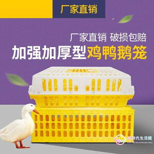 雞籠周轉箱 子運輸養殖塑料家用大號特大筐 成雞鴨鵝鴿子家禽 限時折扣