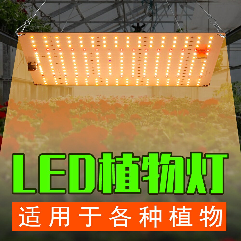 110V植物生長燈LED種植全光譜補光燈3000W智能調光室內2000W量子板植物燈220V促進多肉生長1500W