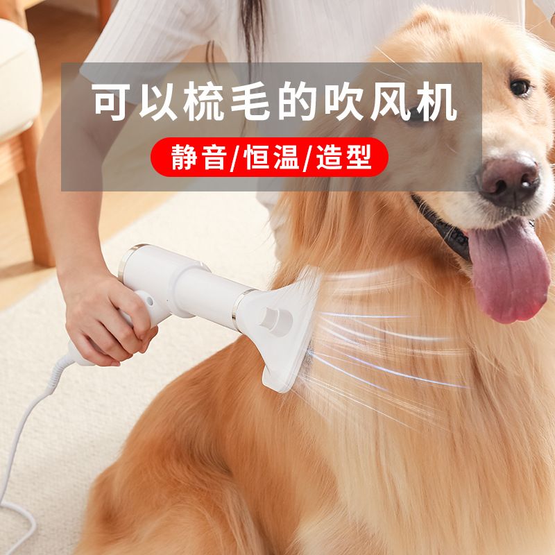 免運/附發票 快速出貨 110v美規吹寵物吹風梳水機貓咪電吹風清潔吹風機美容歐規美規D