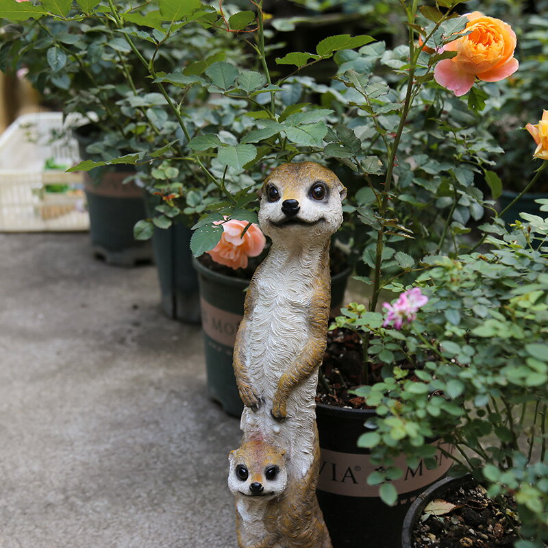花園裝飾 庭院擺件布置戶外園藝裝飾品創意仿真動物貓鼬狐獴擺件