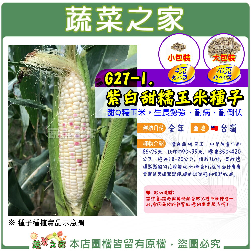 【蔬菜之家】G27-1.紫白甜糯玉米種子4克(共2種規格可選)