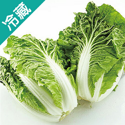 【台灣】鮮採包心白菜1粒(700g/粒)【愛買冷藏】