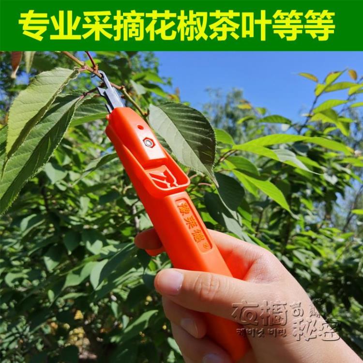 修枝剪 摘花椒神器採摘草莓枸杞葡萄豆角辣椒剪家用花剪園藝剪刀修枝剪子 免運開發票