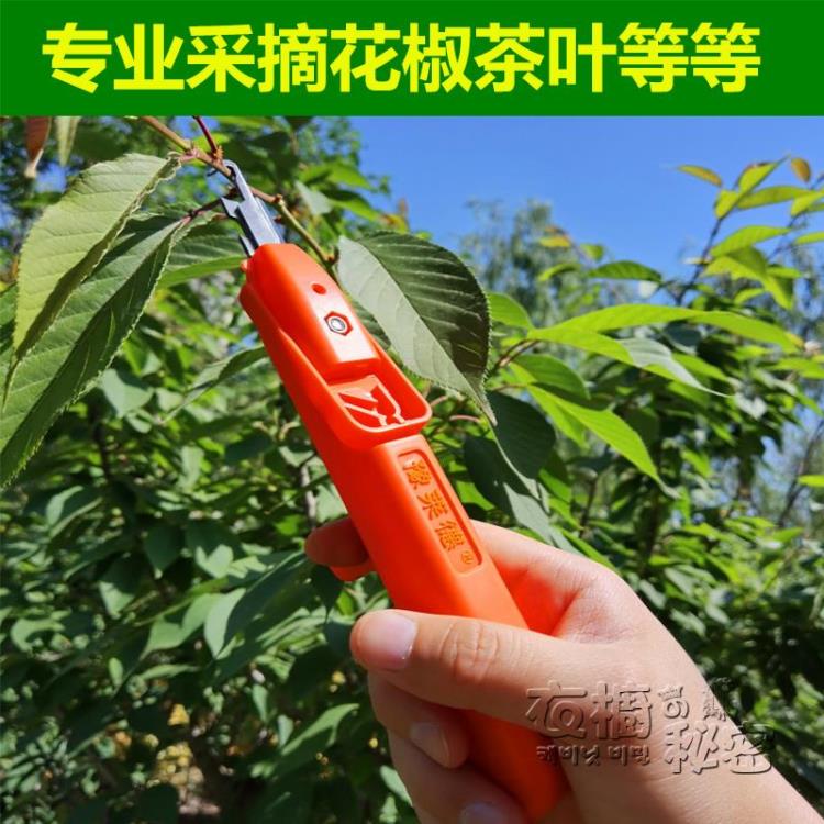 修枝剪 摘花椒神器采摘草莓枸杞葡萄豆角辣椒剪家用花剪園藝剪刀修枝剪子 免運開發票