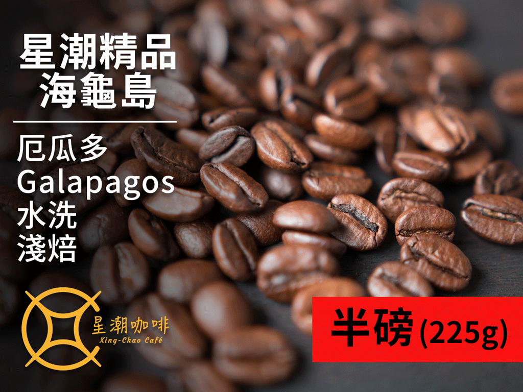 厄瓜多-Galapagos海龜島咖啡(半磅/225g)【星潮咖啡】莊園咖啡豆★全店滿799免運