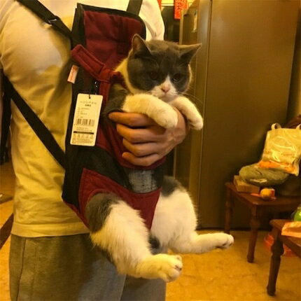 寵物包 外出便攜背帶胸前雙肩貓包貓咪攜帶泰迪裝狗狗神器背包貓袋子【摩可美家】