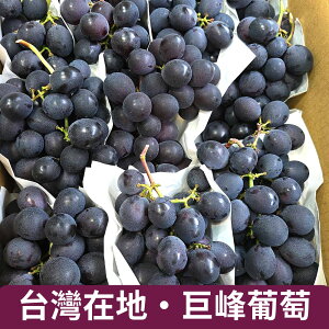 【仙菓園】台灣在地 溫室巨峰葡萄 單一包 約500g±10%