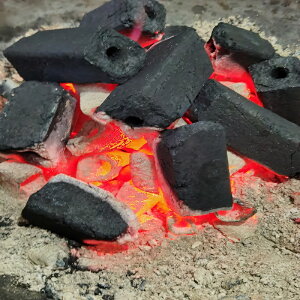 燒烤碳木炭無煙燒烤炭耐燒環保易燃果木炭家用烤火取暖10斤機制碳