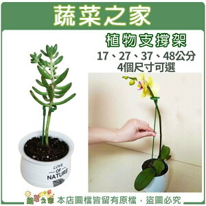 【蔬菜之家】植物支撐架(玻璃纖維材質)17；27、37、48公分4種規格可選 U型環固定植物，易於植物攀爬生長