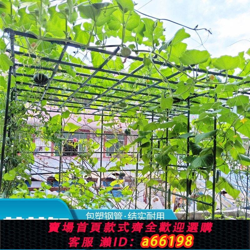 【臺灣公司 可開發票】戶外庭院葡萄架組裝支架百香果苦瓜攀爬架鐵藝棚架陽臺植物爬藤架