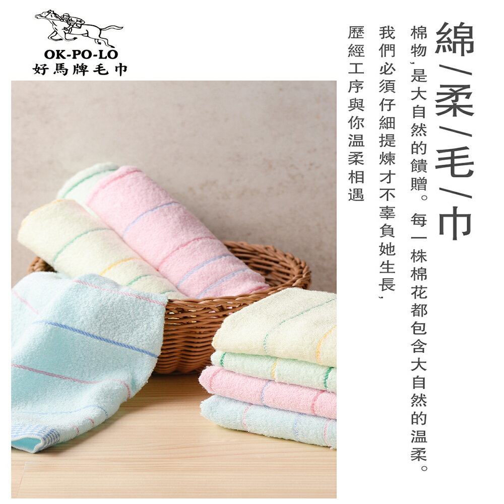 彰化水五金║台灣製造純棉單線條吸水毛巾-12入組/信發行