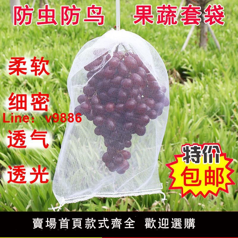 【臺灣公司 超低價】葡萄套袋水果防蟲防鳥網袋水果枇杷透氣保護袋果樹防鳥網袋浸種袋