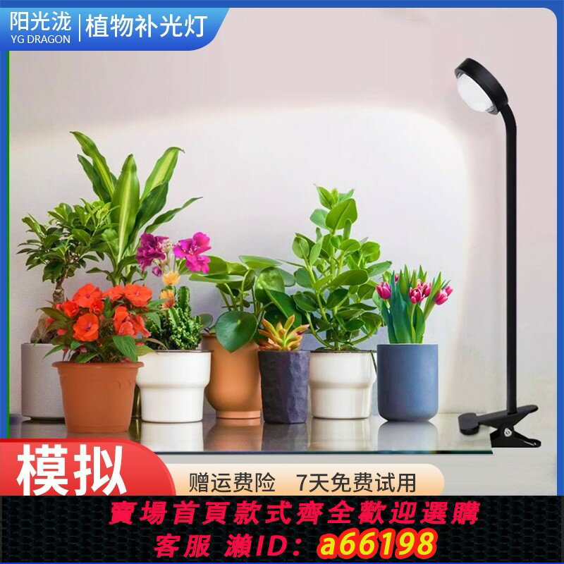 【臺灣公司 可開發票】led仿太陽全光譜景觀缸夾子補光燈花卉多肉專用全光譜植物生長燈