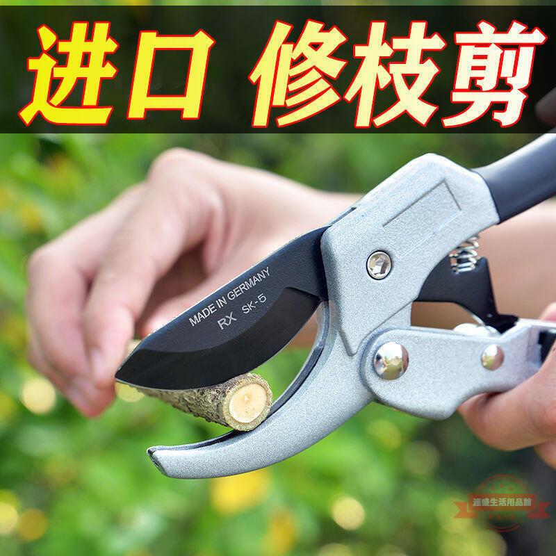 樹枝剪刀園藝剪樹枝修枝剪花剪園林省力花藝工具果樹修剪粗枝剪子