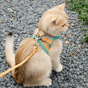 免運 貓貓玩具 逗貓 貓咪牽引繩可愛背心式胸背防掙脫幼貓魔術貼安全扣反光寵物遛貓繩
