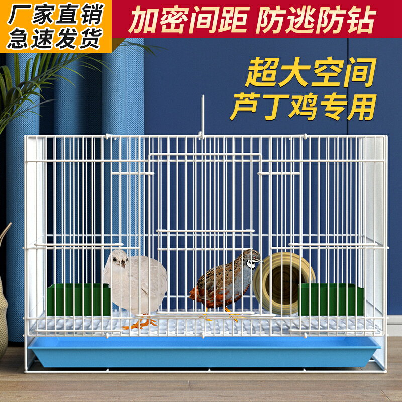 【店長推薦】蘆丁雞專用籠觀賞籠飼養箱育雛家用養殖小雞籠加密鵪鶉籠小黃鴨籠